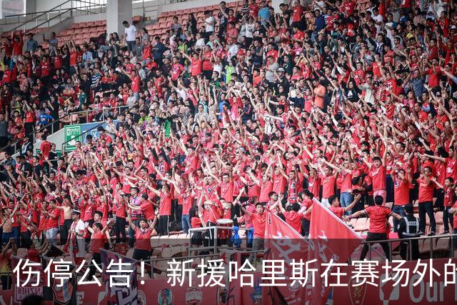 伤停公告！新援哈里斯在赛场外的“悲情故事